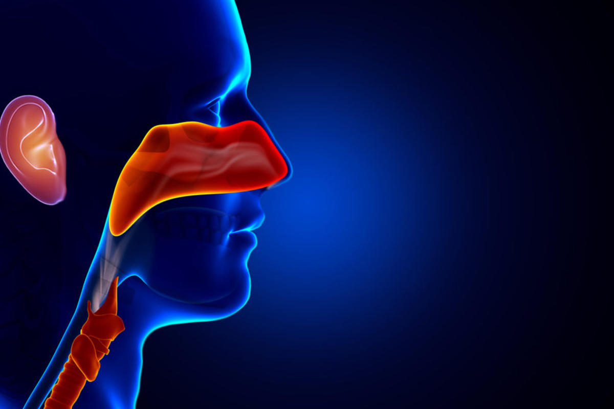 مركز امراض  الأنف والاذن والحنجرة