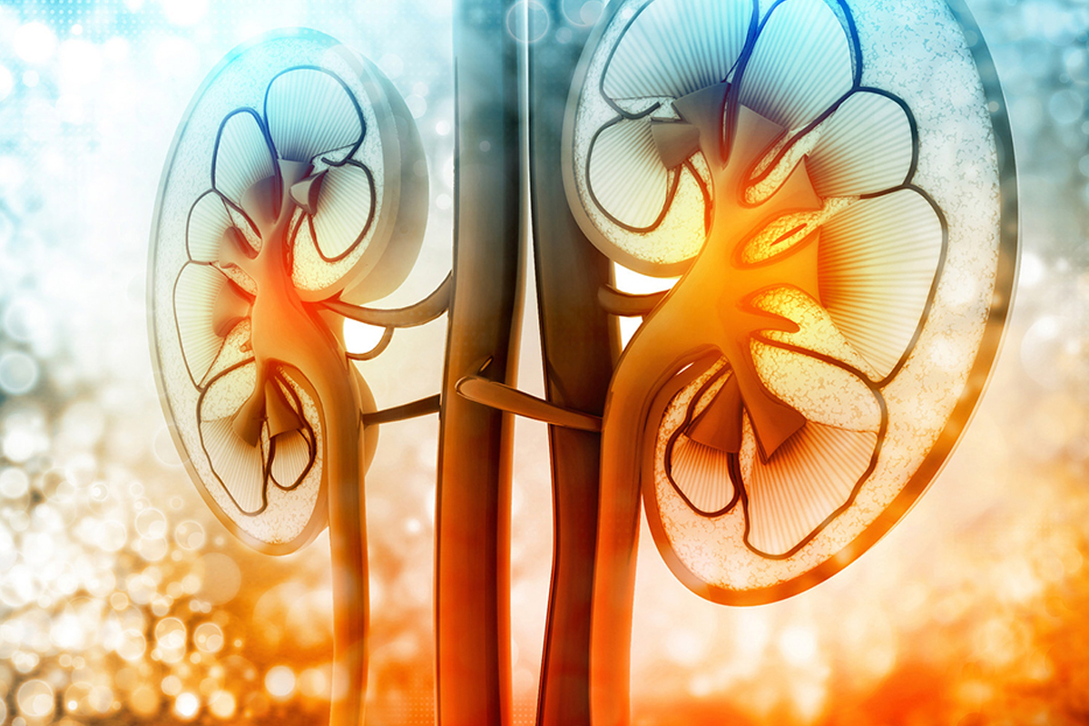 عيادة المسالك البولية