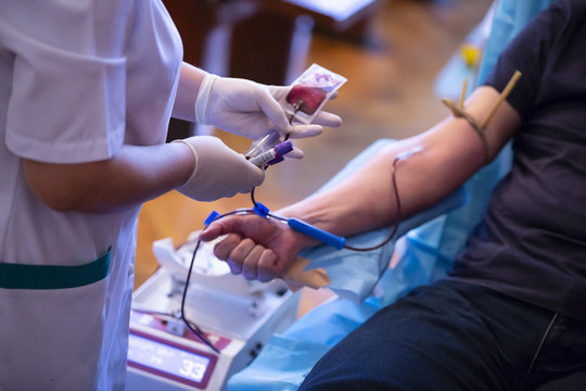 قسم بنك الدم (Blood Bank )